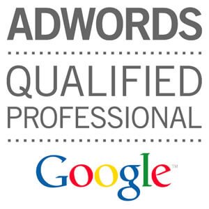 ad word specialist udaipur