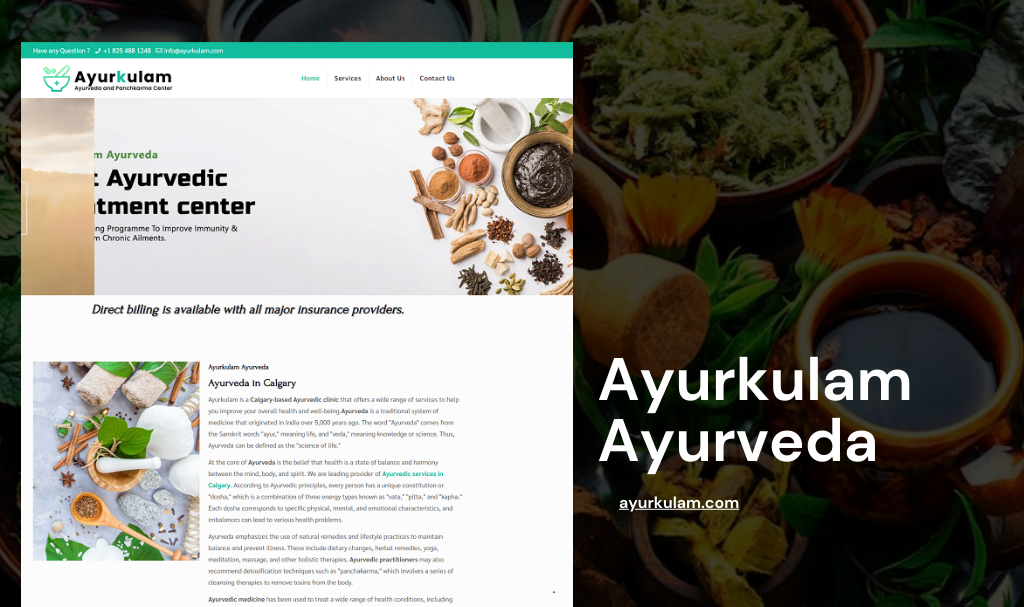 Ayurveda Consultant Website Designer Udaipur