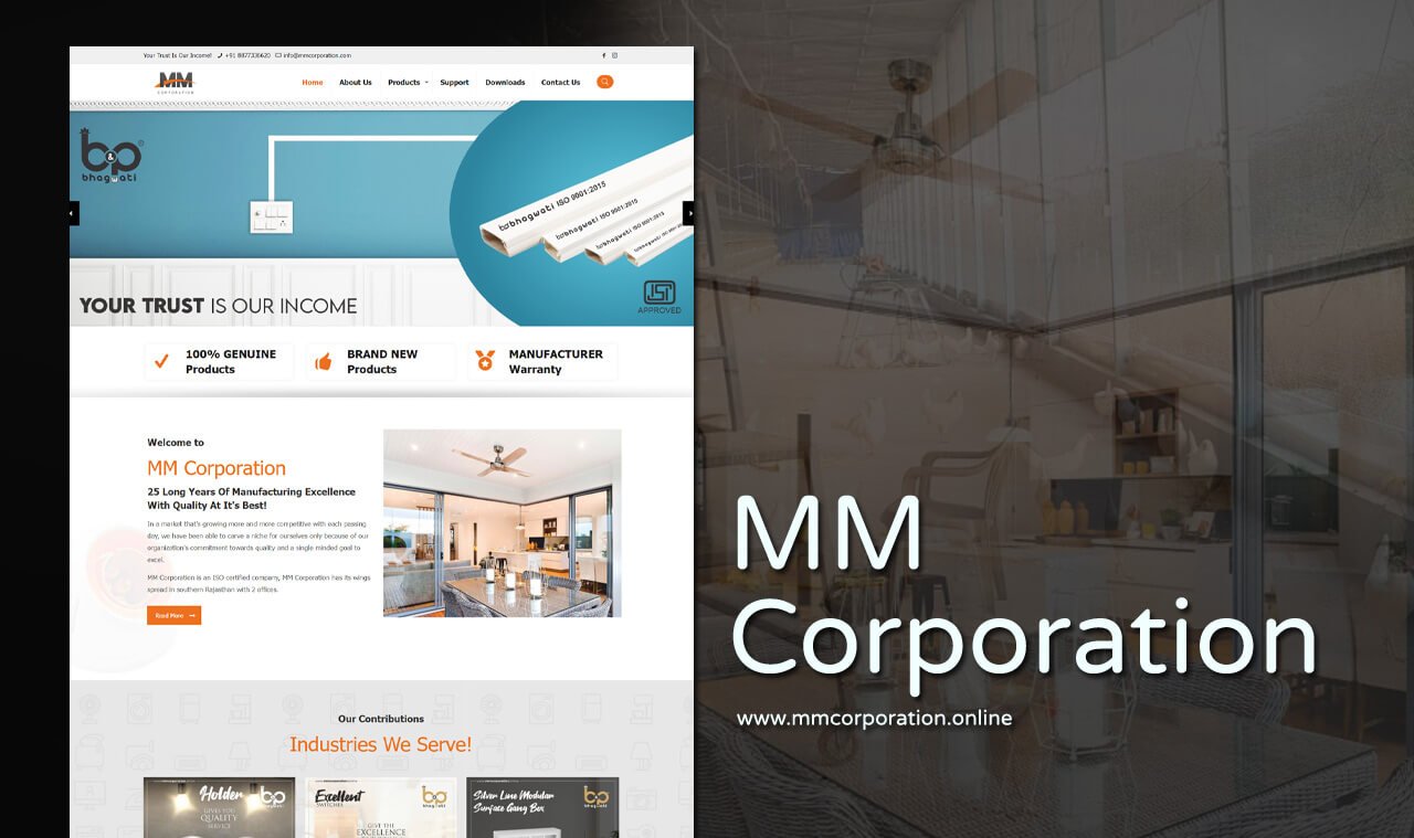 electronic products website designer in udaipur