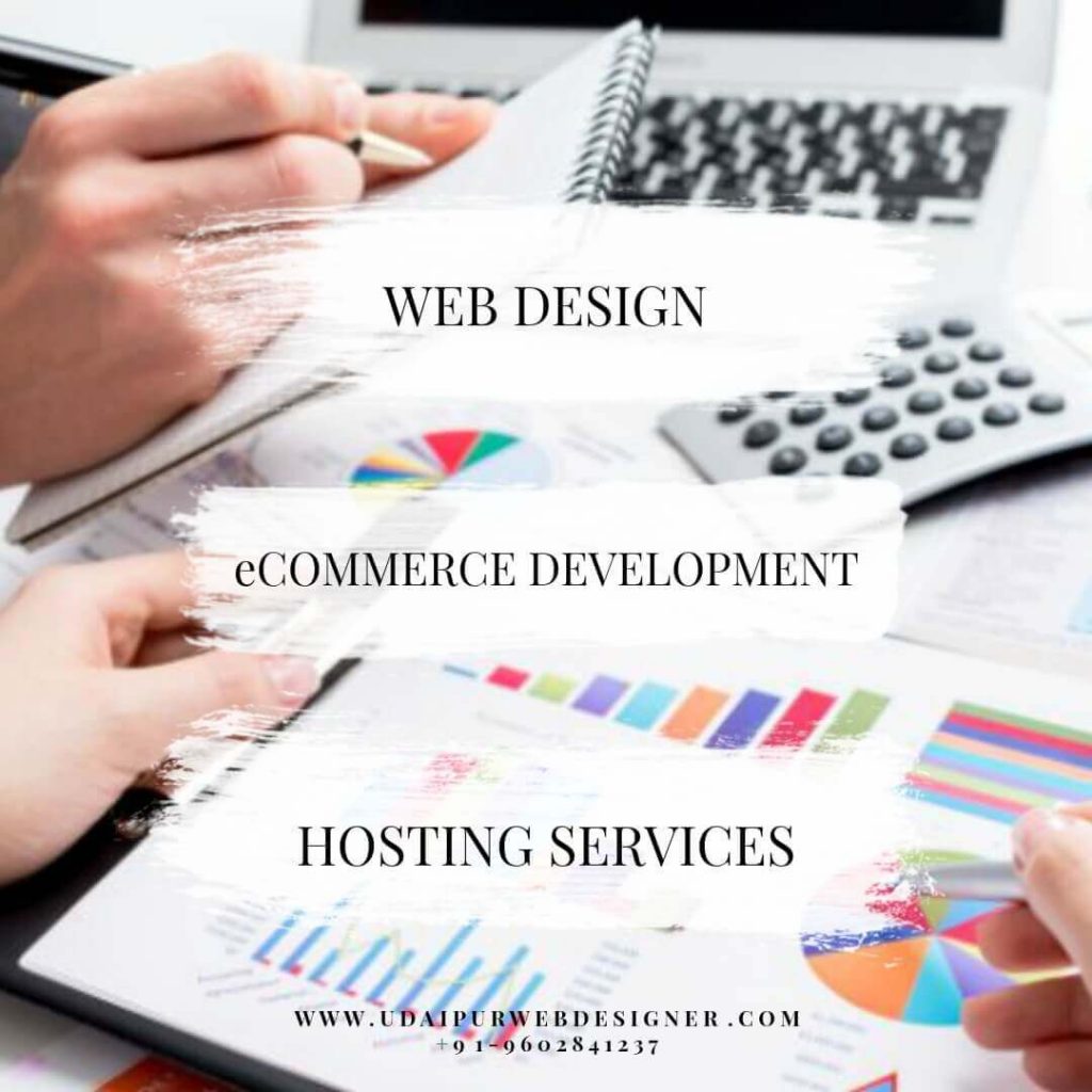 udaipur-web-designer-udaipur-rajasthan