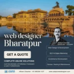 Web Designer Bharatpur