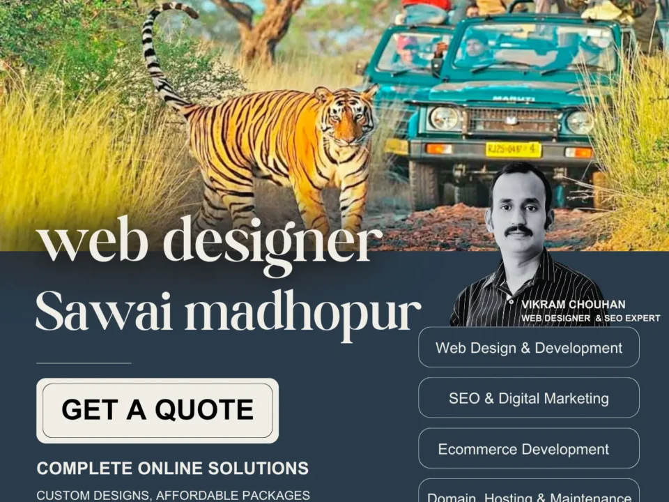 web-designer-sawai-madhopur
