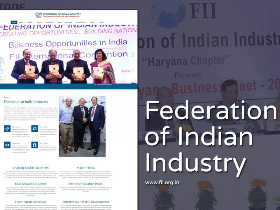 Government consultative board Website Designer
