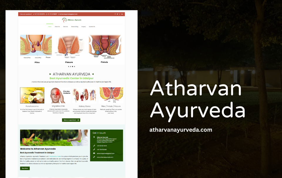 Ayurvedic Website Designer Udaipur